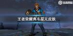 王者荣耀典韦星元皮肤怎么样